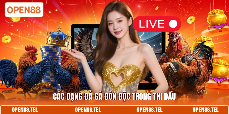 Các dạng đá gà đòn độc trong thi đấu 