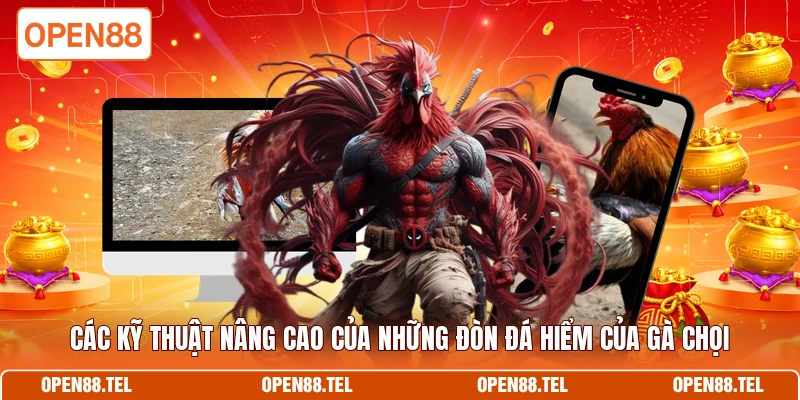 Các kỹ thuật nâng cao của những đòn đá hiểm của gà chọi 