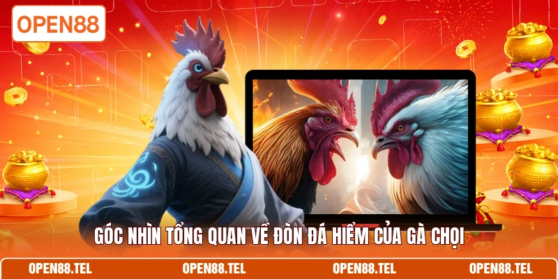 Góc nhìn tổng quan về đòn đá hiểm của gà chọi 