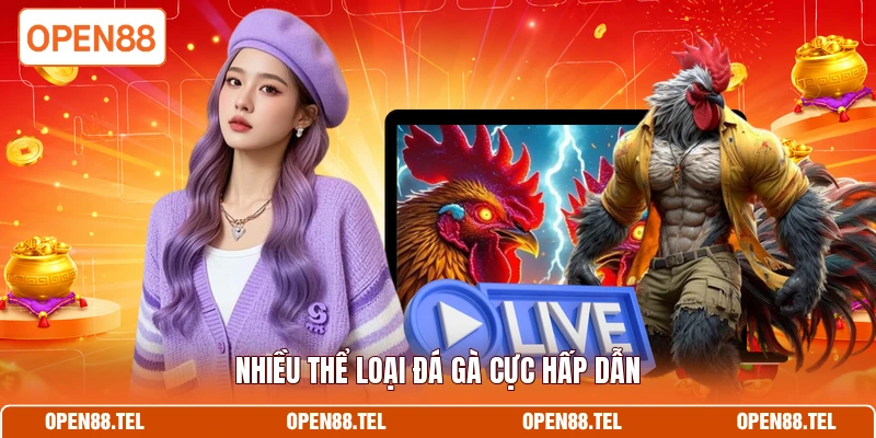 Nhiều thể loại đá gà cực hấp dẫn