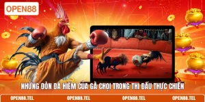 Những đòn đá hiểm của gà chọi