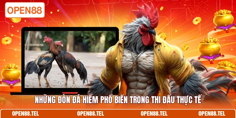 Những đòn đá hiểm phổ biến trong thi đấu thực tế
