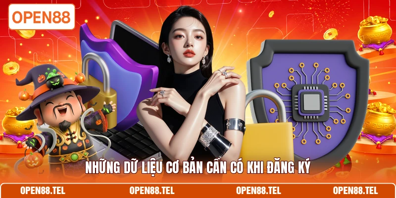 Những dữ liệu cơ bản cần có khi đăng ký