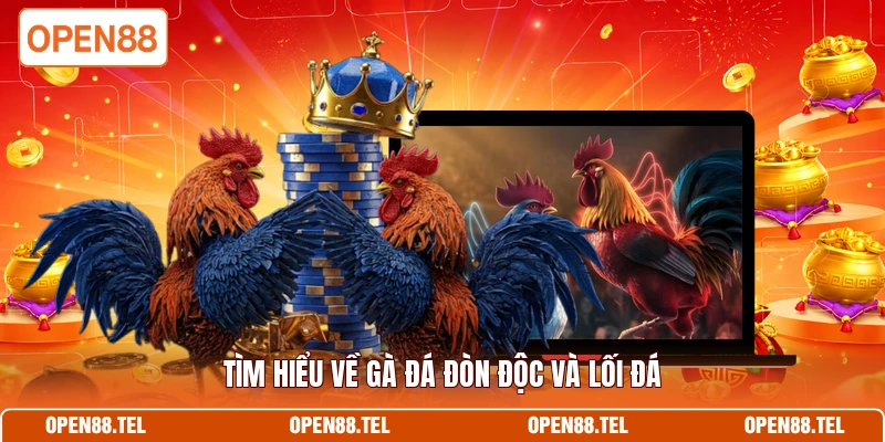 Tìm hiểu về gà đá đòn độc và lối đá 