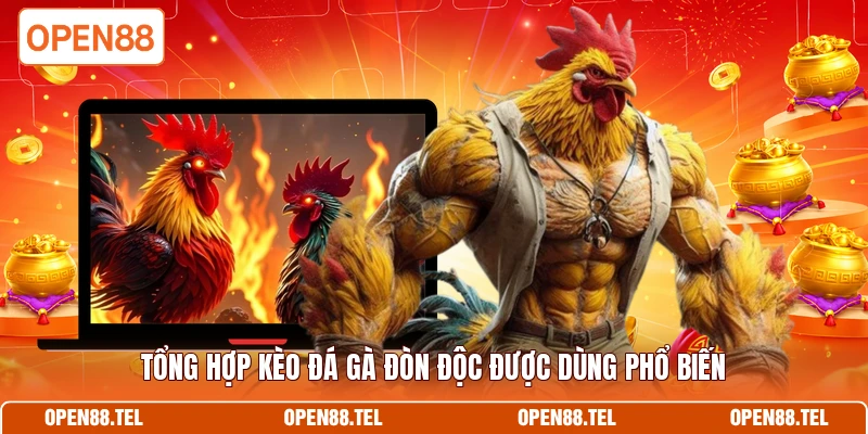 Tổng hợp kèo đá gà đòn độc được dùng phổ biến 