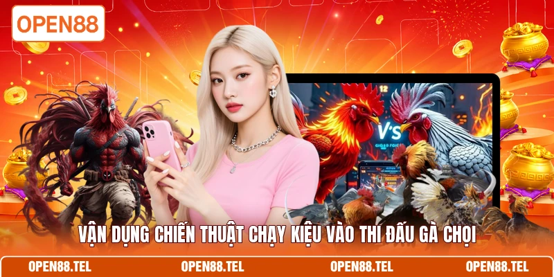 Vận dụng chiến thuật chạy kiệu vào thi đấu gà chọi 